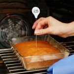 Cake Tester Needles Stainless Steel Reusable Cake Needles Cake Tester Skewer Needles for Kitchen Home Bakery Tools