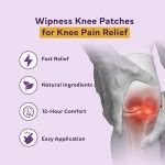 PACK OF 10 KNEE PATCHES Instant Relief Inflammation Patch Sticker Joint Pain Patch for Knee Back Neck and Shoulder