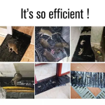 Black Rat Killing Magic Carpet Rodents Moles Trap Rat Mice Trap Mouse Glue Trap Rat Tarps Mat